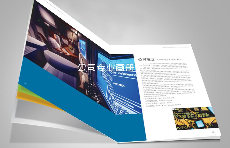 公司專業(yè)畫冊(cè)設(shè)計(jì)-南京畫冊(cè)設(shè)計(jì)公司