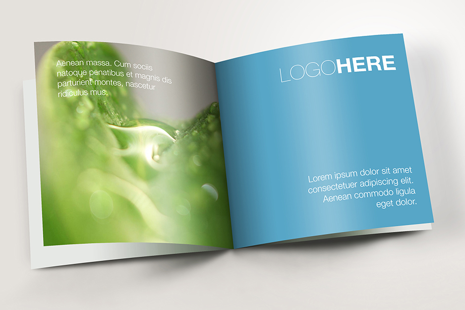 惠州畫冊設計談關于畫冊設計的技巧 惠州畫冊設計談關于畫冊設計的技巧